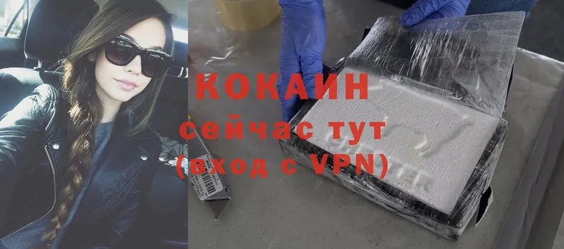 Cocaine FishScale  купить наркотик  Змеиногорск 