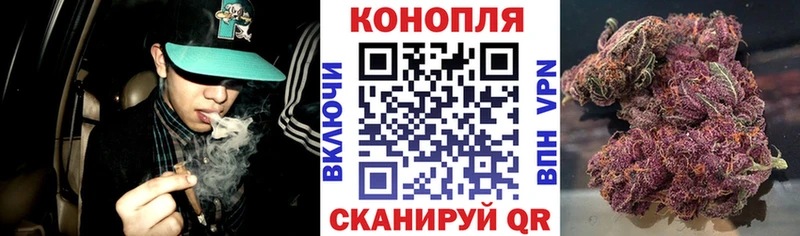 Шишки марихуана ГИДРОПОН kraken как войти shop телеграм Змеиногорск